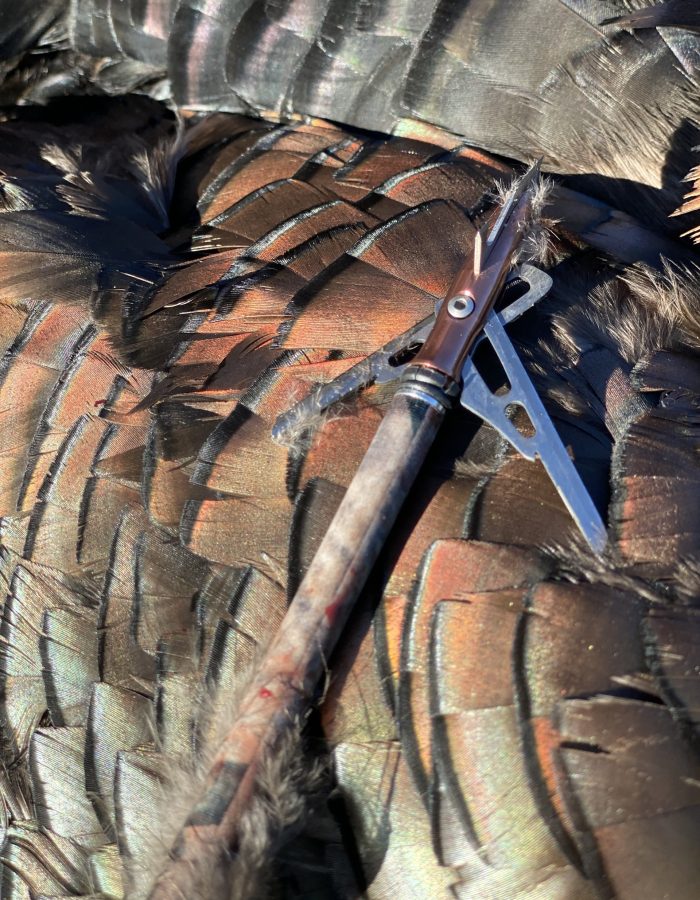 Turkey Hunting South Carolina Turkey Hunting South Carolina