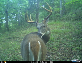 Ohio deer hunting