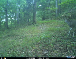 Ohio Deer Hunting