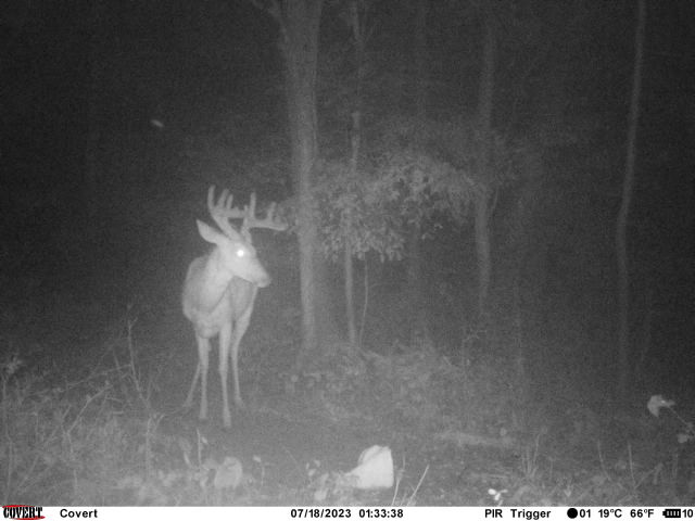 Deer Hunt Guide Deer Hunt Guide