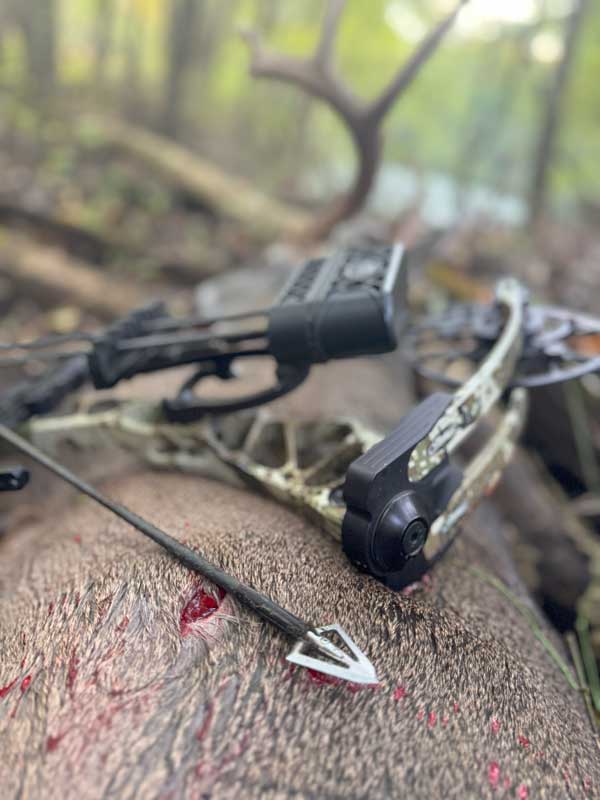 Ohio Bow Hunting Guides