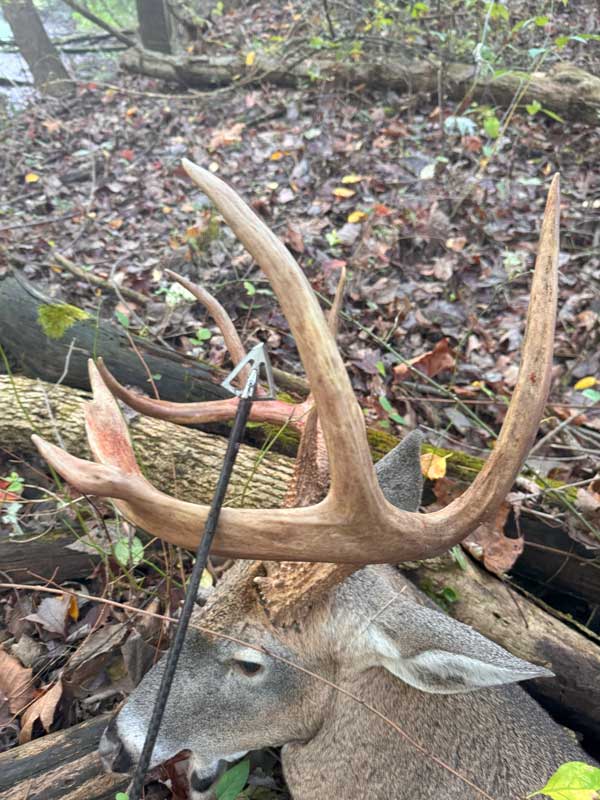 Ohio Bow Hunting Outfitters