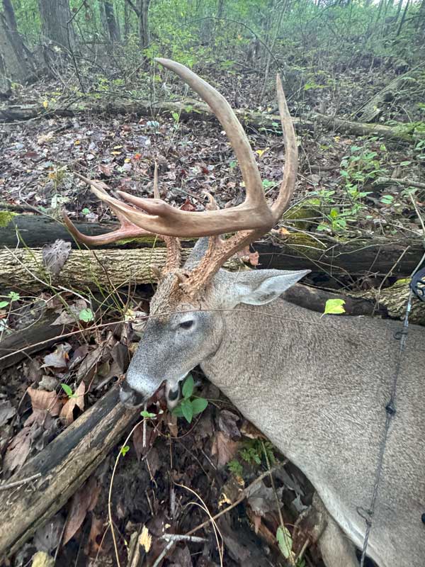 Ohio Deer Hunting Guides